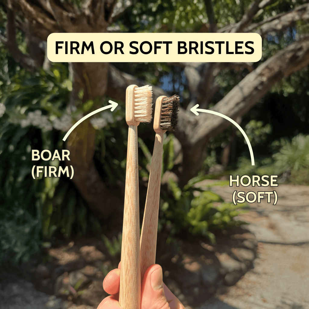 Boar or horse bristle toothbrush (4 Pack)