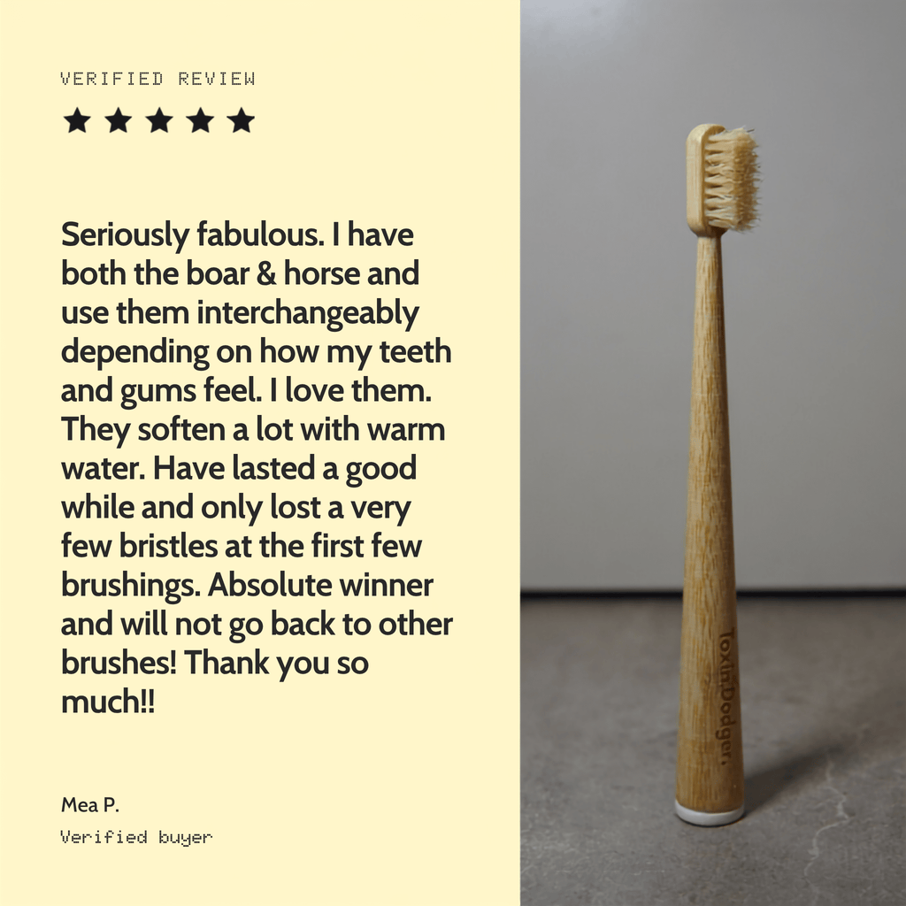 Boar or horse bristle toothbrush (4 Pack)