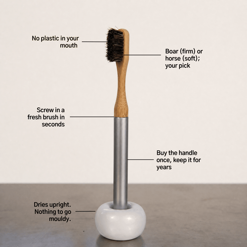 Natural Bristle Toothbrush System (Starter Pack)