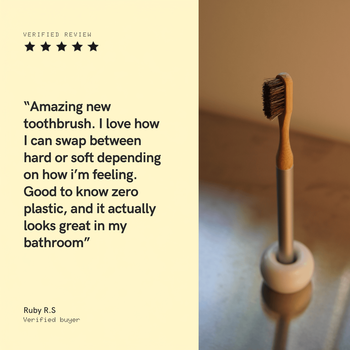 Replacement Heads for Toxindodger Natural Bristle Toothbrush System (5-pack)