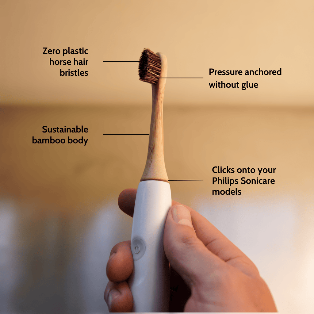Natural Bristle Electric Toothbrush Heads (Sonicare Compatible) - 4 pack