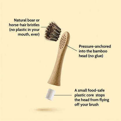 Natural Bristle Electric Toothbrush Heads (Sonicare Compatible) - 4 pack