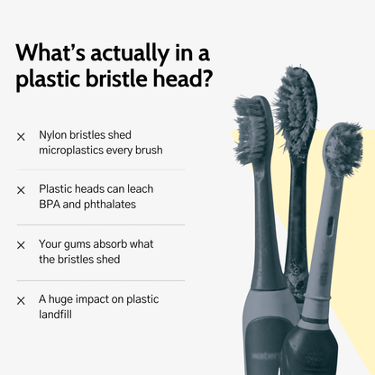 Natural Bristle Electric Toothbrush Heads (Sonicare Compatible) - 4 pack