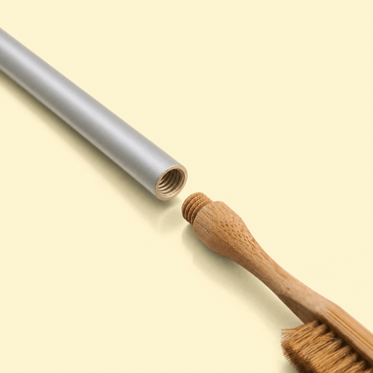 Replacement Heads for Toxindodger Natural Bristle Toothbrush System (5-pack)